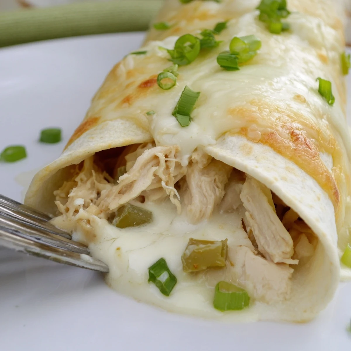 Topped with golden cheese and cilantro, Creamy White Chicken Enchiladas served steaming hot